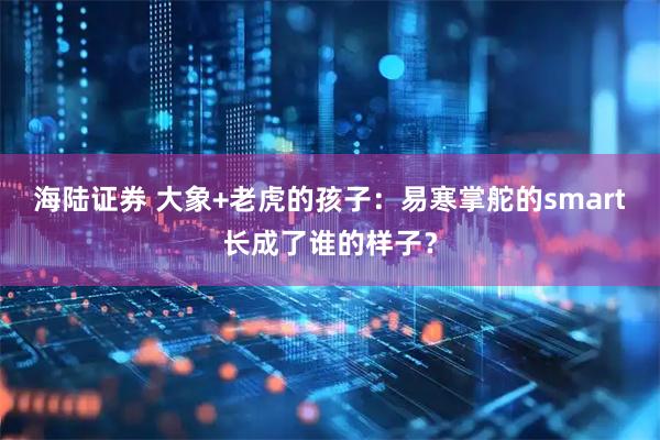 海陆证券 大象+老虎的孩子：易寒掌舵的smart长成了谁的样子？