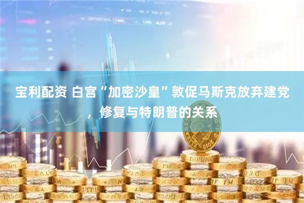 宝利配资 白宫“加密沙皇”敦促马斯克放弃建党，修复与特朗普的关系