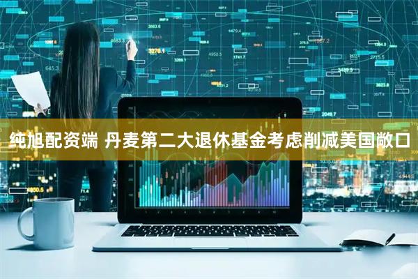 纯旭配资端 丹麦第二大退休基金考虑削减美国敞口