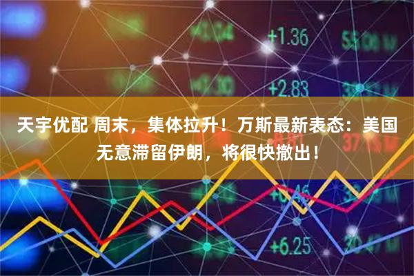天宇优配 周末，集体拉升！万斯最新表态：美国无意滞留伊朗，将很快撤出！