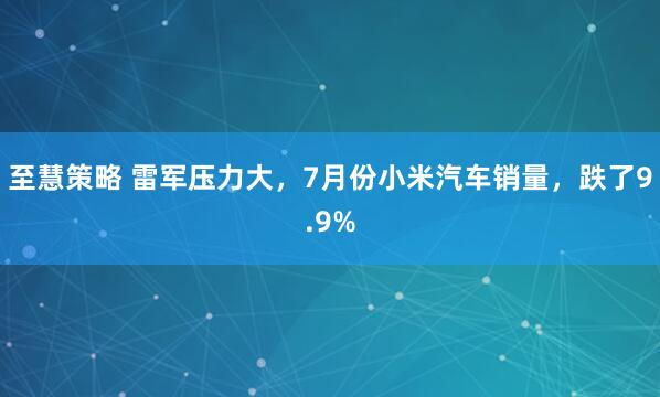 至慧策略 雷军压力大，7月份小米汽车销量，跌了9.9%